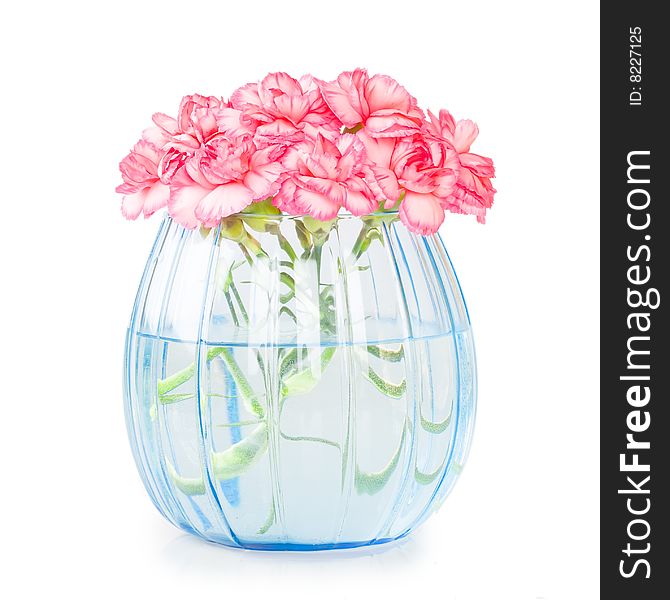 Carnations in transparent blue vase isolated on white background