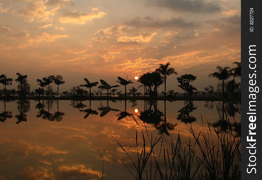 Beautiful sunrise reflected on lake,with backlit coconut trees