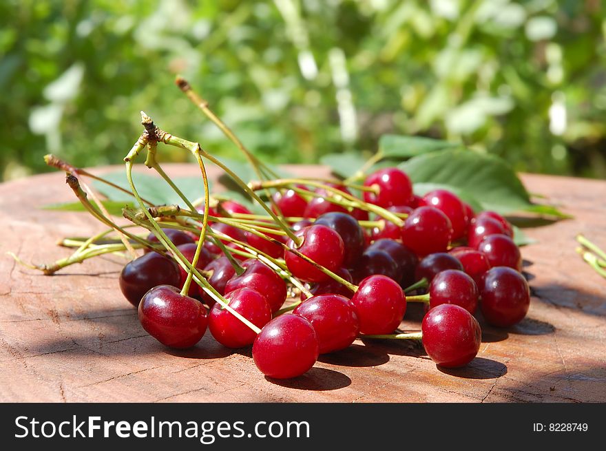 Sweet and juicily cherries heap on a tree background. Sweet and juicily cherries heap on a tree background.
