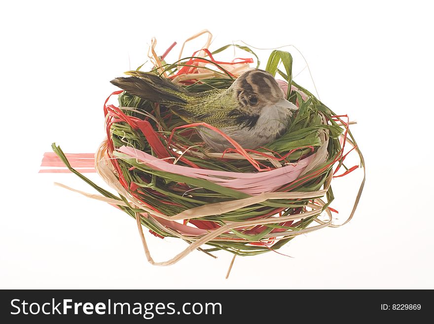 Artificial Bird In Nest