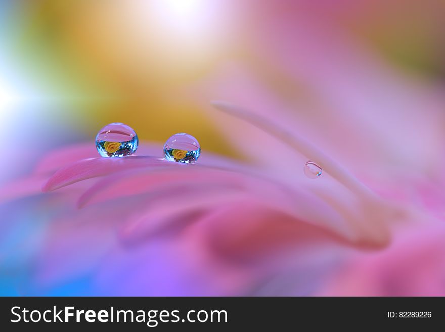 Abstract macro photo with water drops. Artistic Background for desktop.Beautiful Nature. Abstract macro photo with water drops. Artistic Background for desktop.Beautiful Nature.