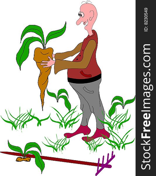 Farming, how harvest carrots. Image, graphic, caricature.