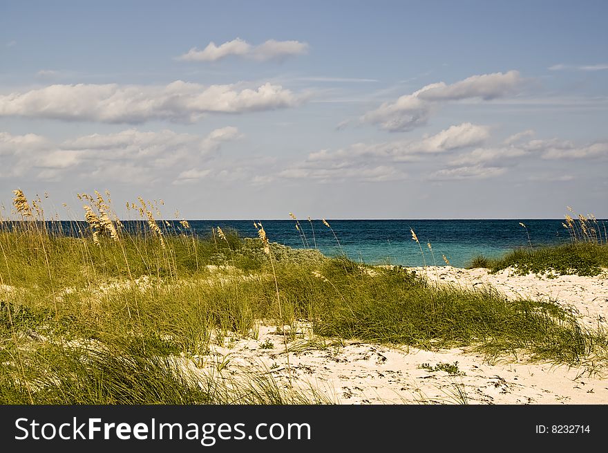 Beach captured with grass and sand foreground. Beach captured with grass and sand foreground