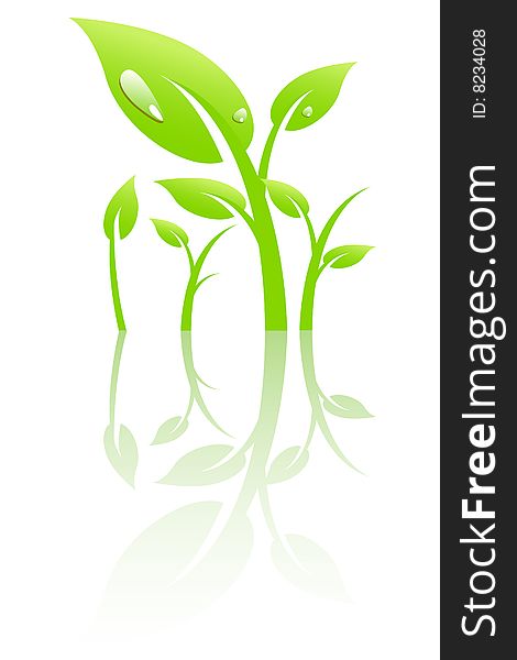 Plant with dew, vector illustration