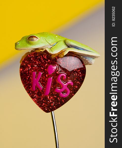 Green frog on red heart