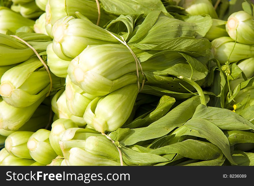 Fresh baby bok choy bunches in a vegetable market. Fresh baby bok choy bunches in a vegetable market