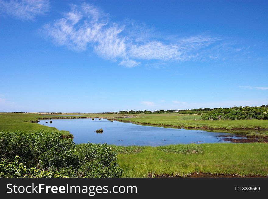 Pond in the middle of field. Pond in the middle of field