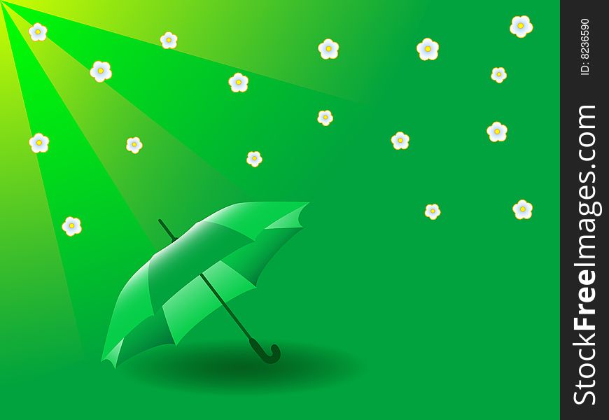 Green Umbrella