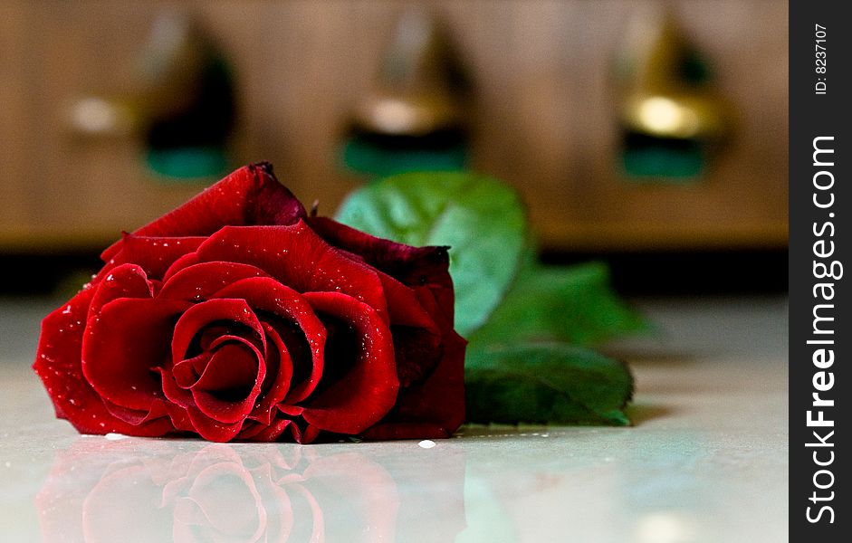 Red rose in front of the piano pedals. There are some waterdrops on the rose