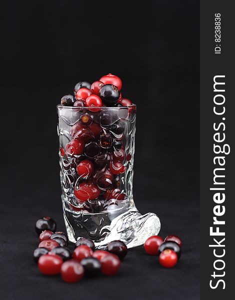 Mix of berries of a cranberry and black currant in a wine-glass.