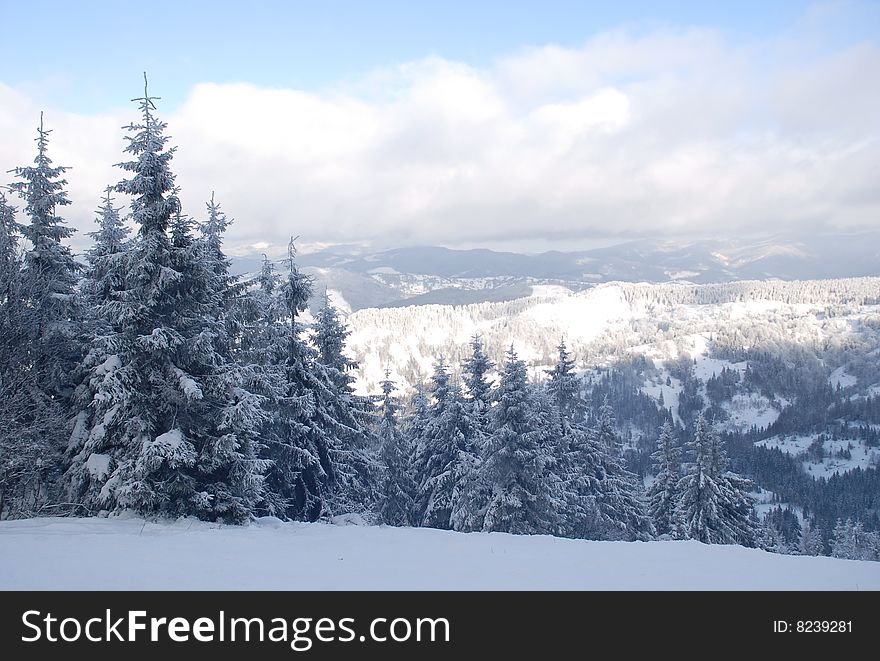 Carpathian Mountains In Snow