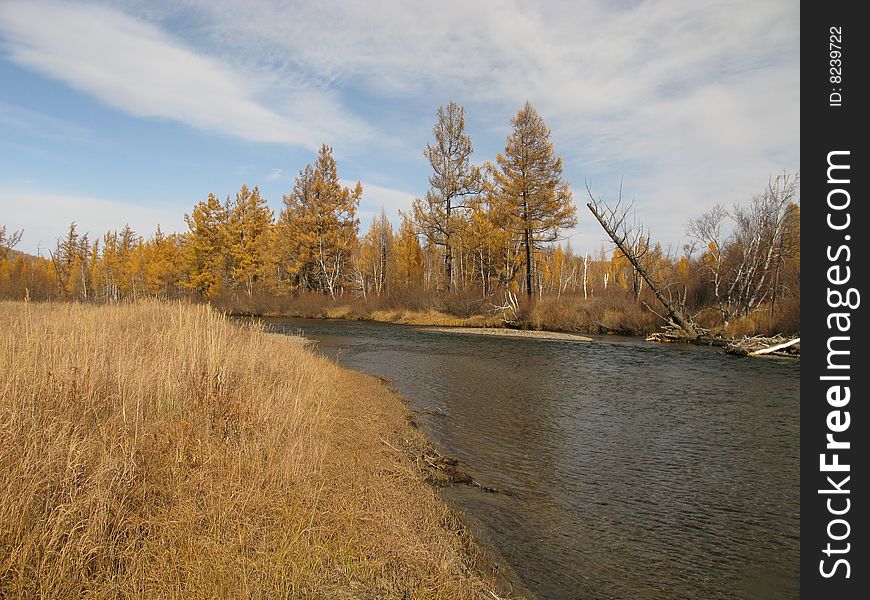 Small Creek In Indian Summer