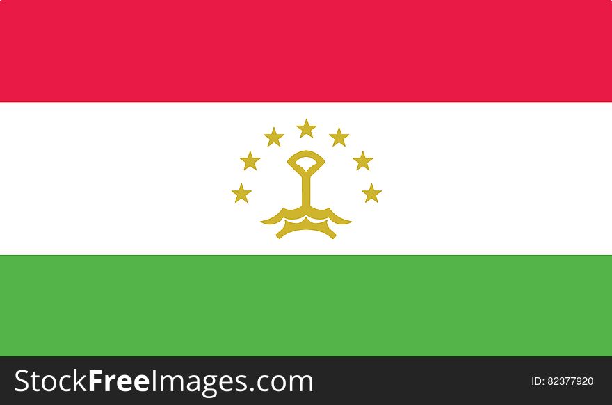 Flag of tajikistan vector icon illustration eps10