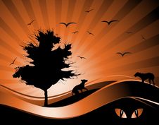 Old Tree Silhouette, Season Background Stock Photos