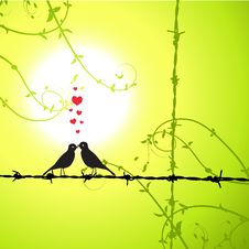 Love, Birds Kissing On Branch Stock Images Love, Birds Kissing On Branch Stock Images