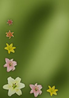 Green Background With Lilies Royalty Free Stock Image
