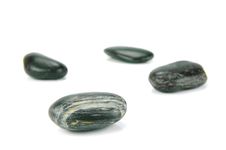 Black River Rocks Royalty Free Stock Photos Black River Rocks Royalty Free Stock Photos