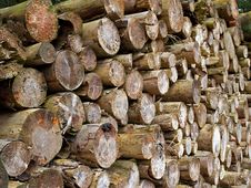 Pile Of Heavy Wood Logs Stock Photo Pile Of Heavy Wood Logs Stock Photo