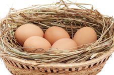 Chicken Eggs In The Brown Basket And Hay. Royalty Free Stock Image Chicken Eggs In The Brown Basket And Hay. Royalty Free Stock Image