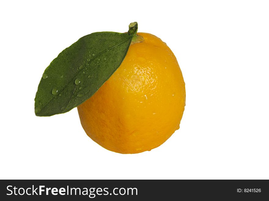 Single lemon with drops of water on white background