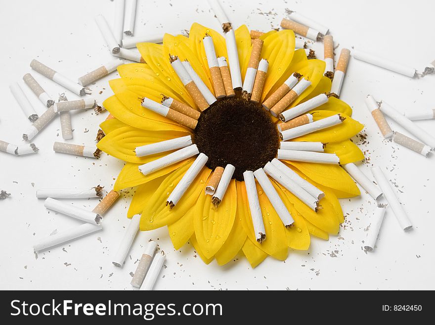Flower & Cigarets