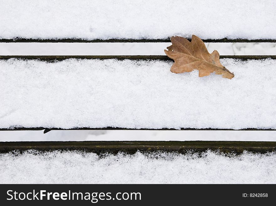 Oak leaf on snowy seat in wintertime. Oak leaf on snowy seat in wintertime