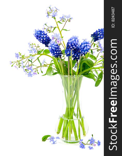 Bouquet of spring flowers on a white background