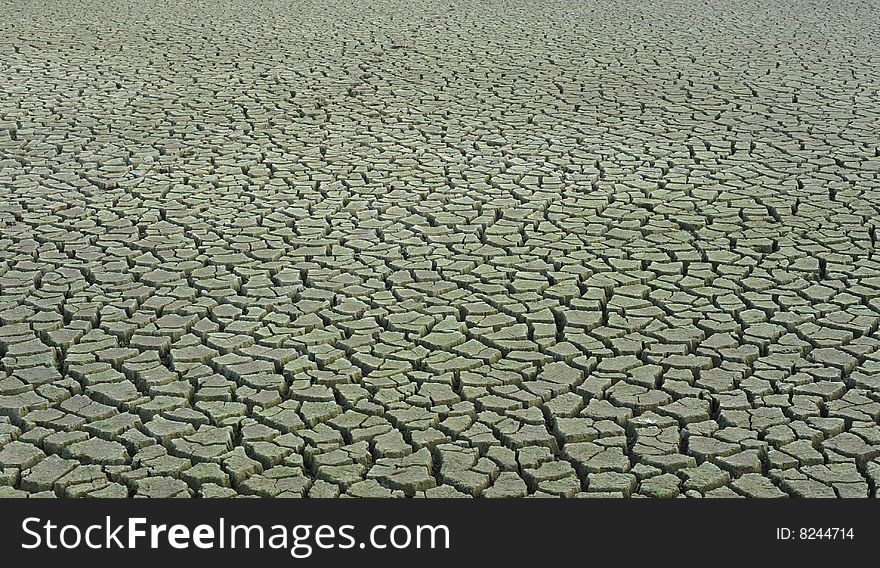 A background of dry, cracked earth. A background of dry, cracked earth.