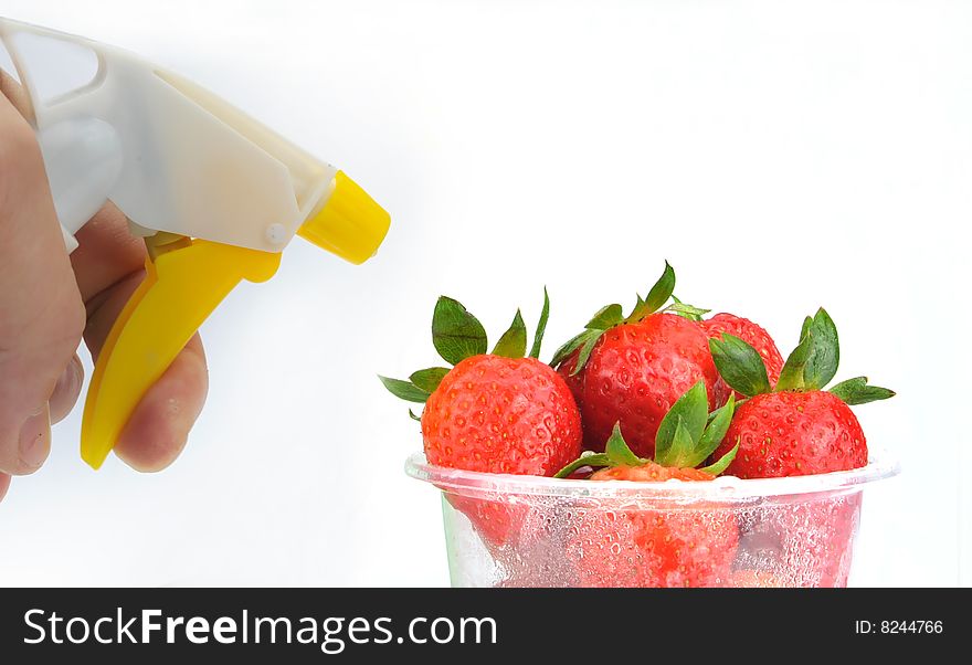 In the white background to Strawberry spraying. In the white background to Strawberry spraying