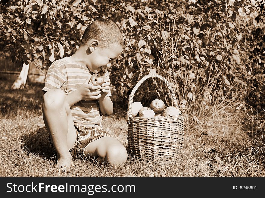 Little boy posing outdoors with apples. Little boy posing outdoors with apples