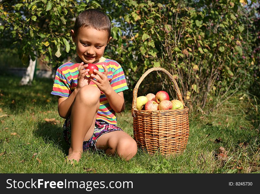 Boy with apples in summer