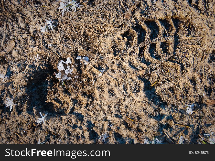 Boot footprint in a frozen earth
