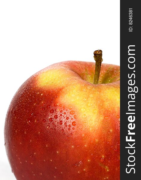 Close-up of wet red apple on a white background