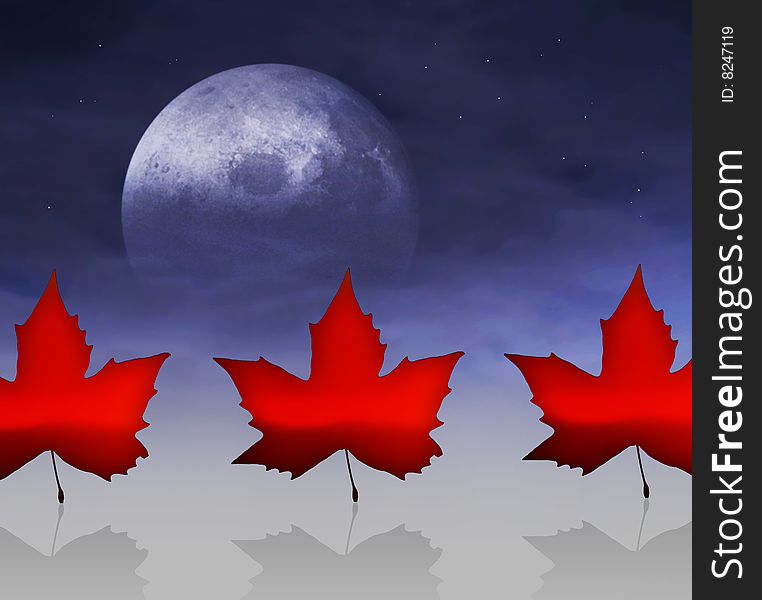 The Flag of Canada with maple leaves