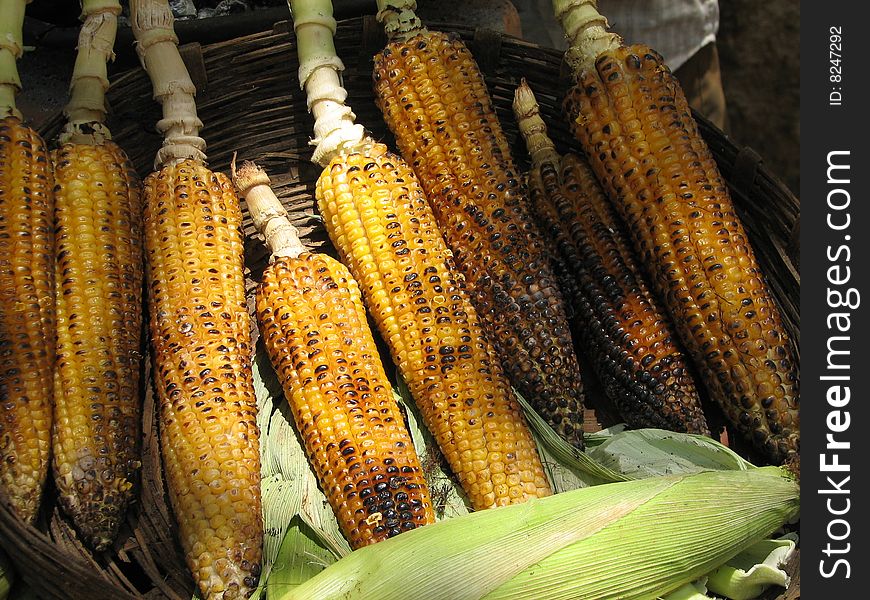 Grilled Maize Corn and green corn cover