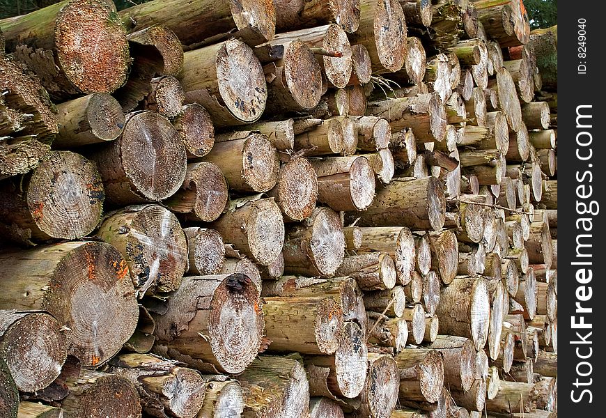 Pile of heavy wood logs stacked outdoors