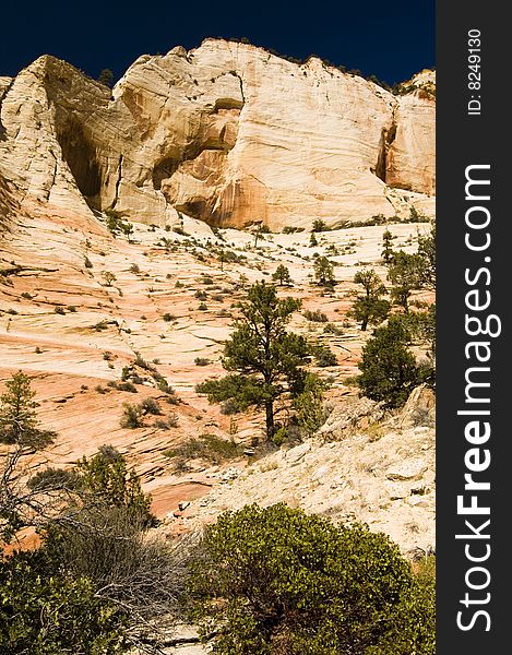 View of sandstone landscape in Zion National Park. View of sandstone landscape in Zion National Park