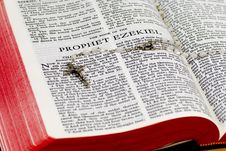 Rosary Bible Page - Ezekiel Stock Images Rosary Bible Page - Ezekiel Stock Images