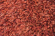Fragment Of Carpet Stock Photo Fragment Of Carpet Stock Photo