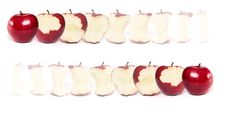 Red Apple Being Eaten Series Royalty Free Stock Photo Red Apple Being Eaten Series Royalty Free Stock Photo