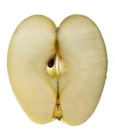 Cross Section Of An Apple Stock Image Cross Section Of An Apple Stock Image