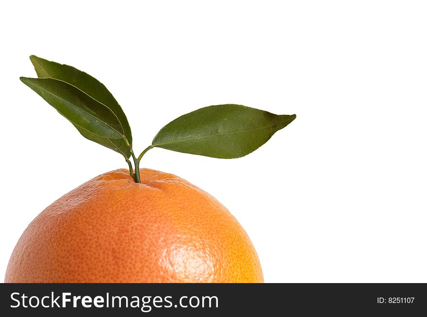 Half of ripe orange and green leaves isolated on a white background. Half of ripe orange and green leaves isolated on a white background.