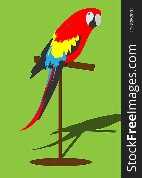 Parrot illustration. Vector. Without mesh.