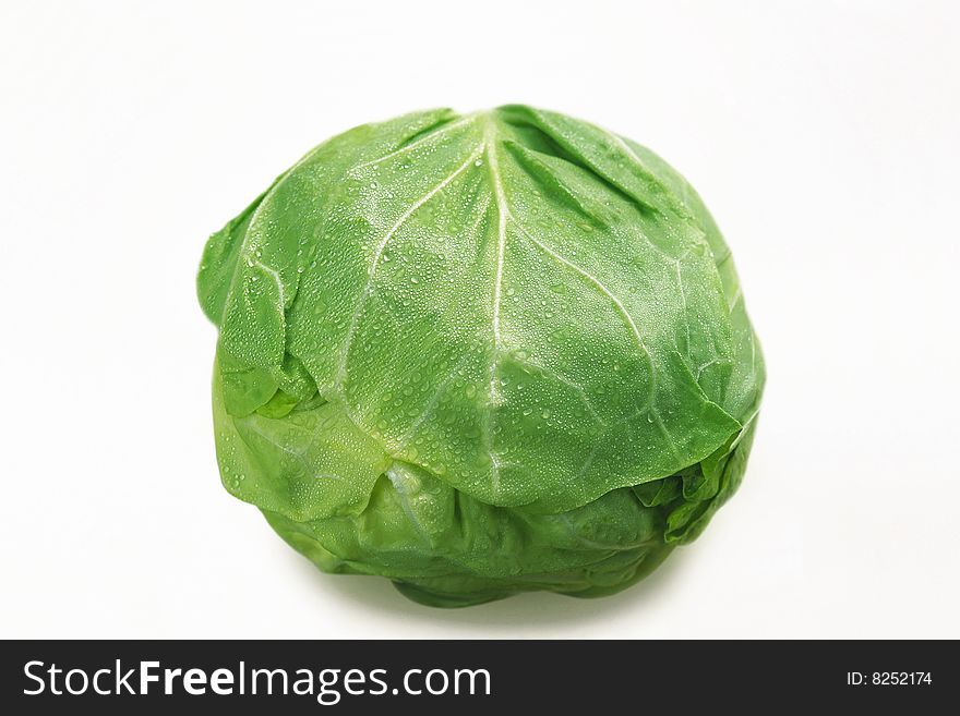Green cabbage with waterdrops on it on white background