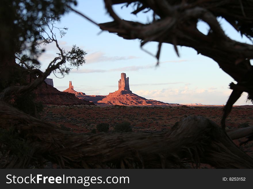 Monument Valley at Sunset seen through some trees