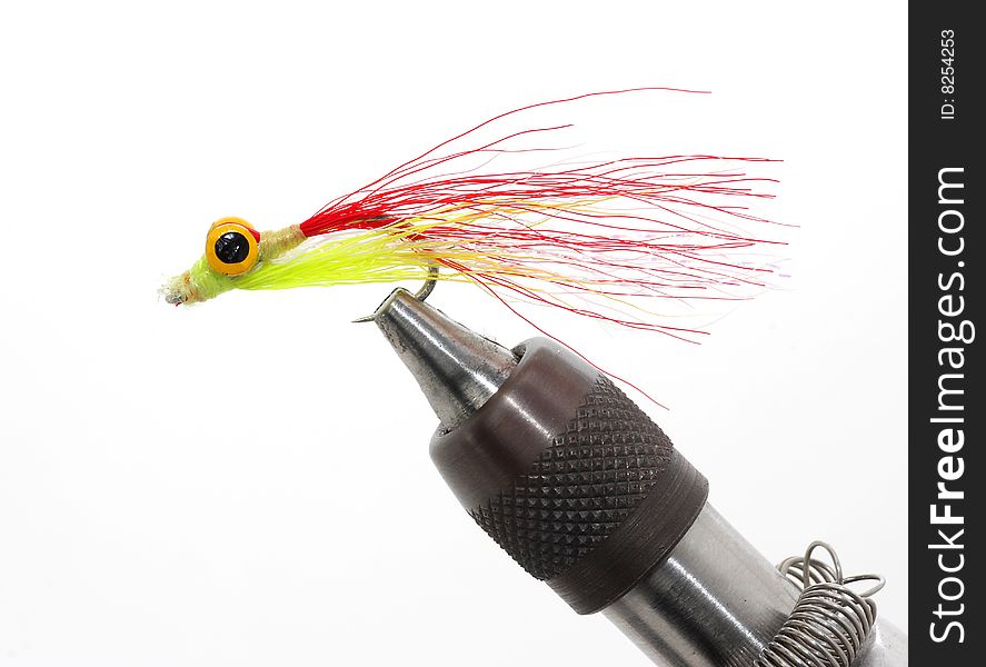 Close up image of fly for fishing in holder. Close up image of fly for fishing in holder