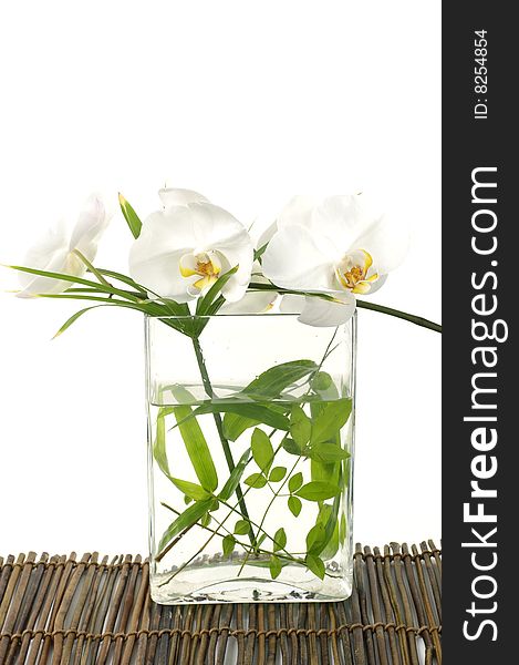 Beautiful orchid with green leaf in vase on mat