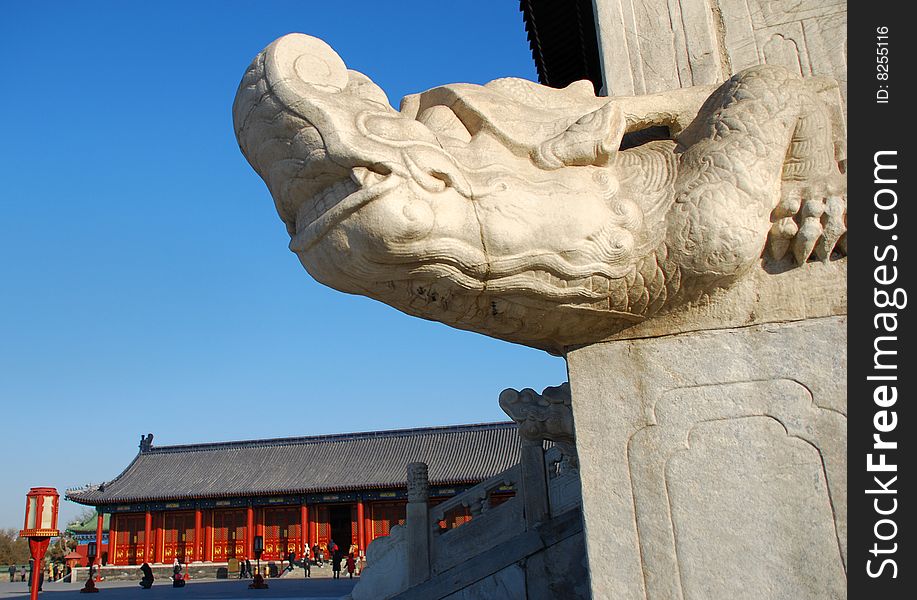 A Stone Sculpture of BaXia, one of dragon's nine sons in Chinese tales, always guards the old royal palace loyally.