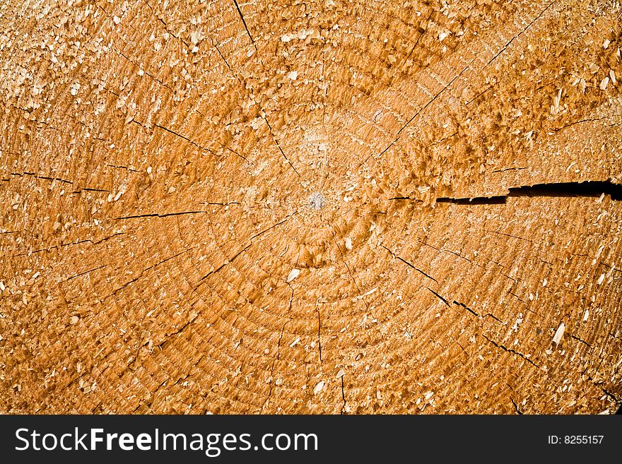 Stock photo: an image of a background of a stump