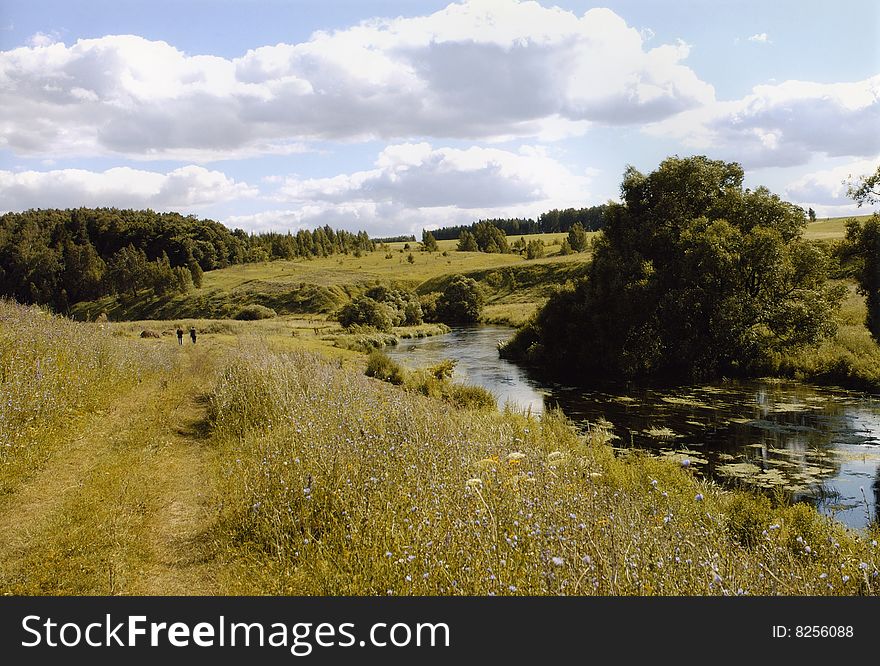 Village road among forest meadow sunny day at the river